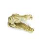 Preview: Lucky Reptile Deco Skull Krokodil